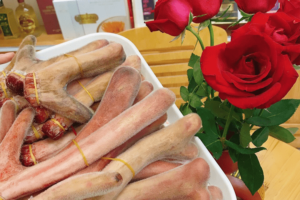 Hướng Dẫn Cách Phân Biệt Nhung Hươu Thật Giả