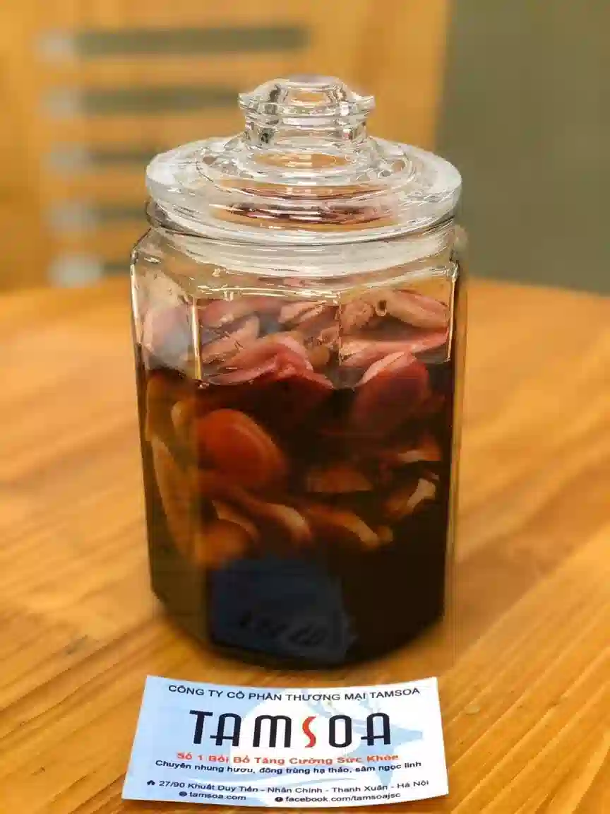 Nhung hươu ngâm mật ong 