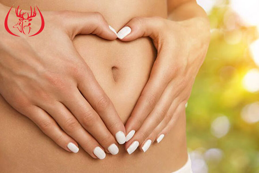 Ăn Nhung Hươu vào lúc nào giúp tăng cường sức khỏe