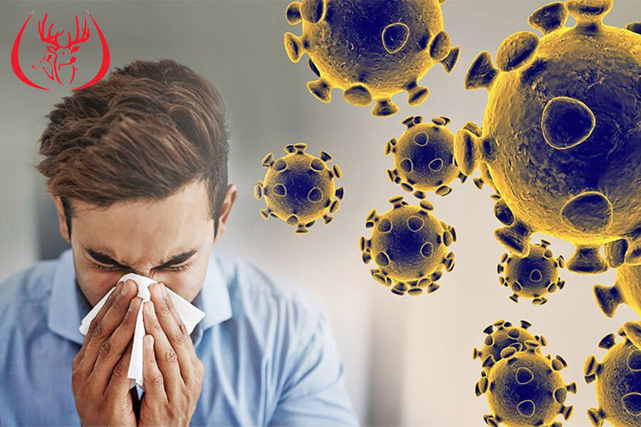 Tăng sức đề kháng, yên tâm mùa dịch