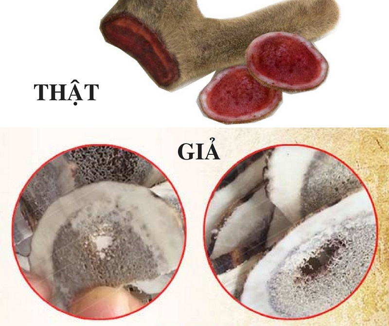 Cách nhận biết nhung hươu thật - Nhung hươu giả