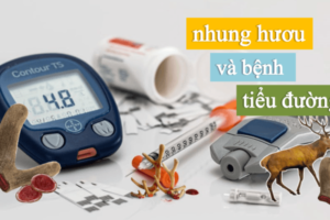 Nhung Hươu với bệnh tiểu đường: Tác dụng, Cách dùng hiệu quả