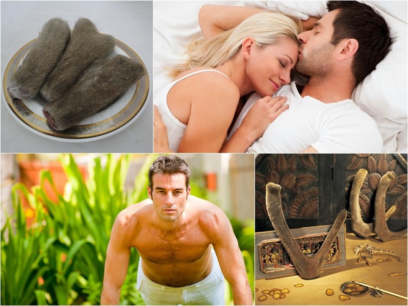 Tác Dụng Của Nhung Hươu Đối Với Nam Giới| Cách dùng hiệu quả