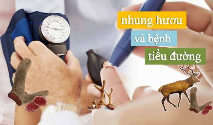 Người tiểu đường có dùng được nhung hươu không?