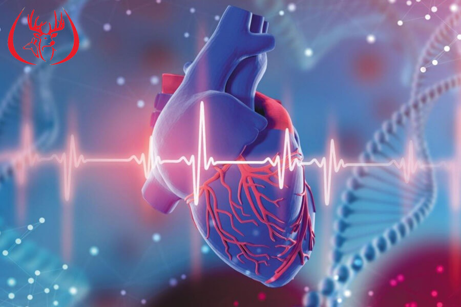 Phương pháp khắc phục tình trạng tim đập nhanh