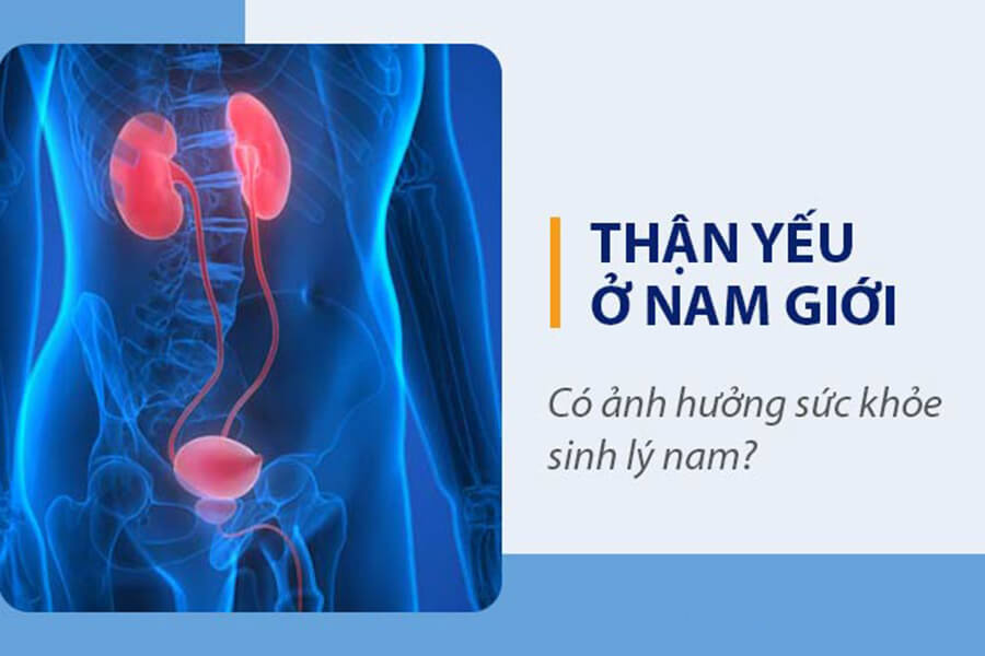 Thận có ảnh hưởng đến sinh lý của nam giới không
