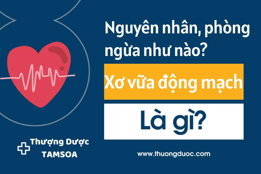 Xơ vữa động mạch là gì?
