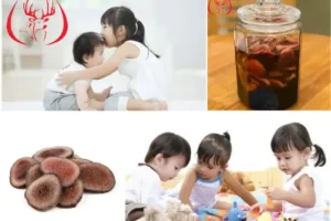 Hướng dẫn cách cho trẻ ăn nhung hươu ngâm mật ong đúng cách