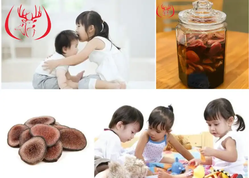 Cách dùng nhung hươu ngâm mật ong cho trẻ em