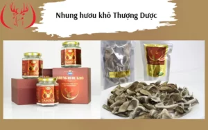 Nhung hươu khô thượng dược