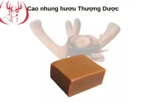 Cao nhung hươu có tác dụng gì đối với sức khỏe con người?