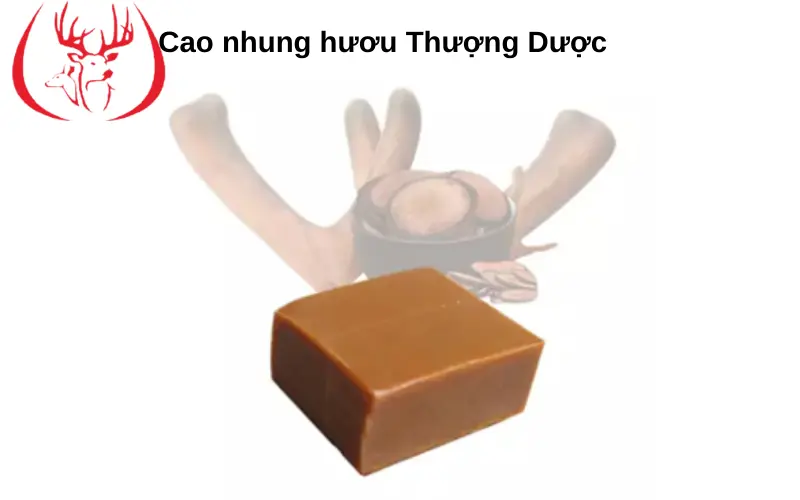 Cao nhung hươu có tác dụng gì