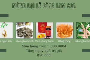 Chương trình tặng quà chào mừng 3 ngày lễ lớn cùng TamSoa