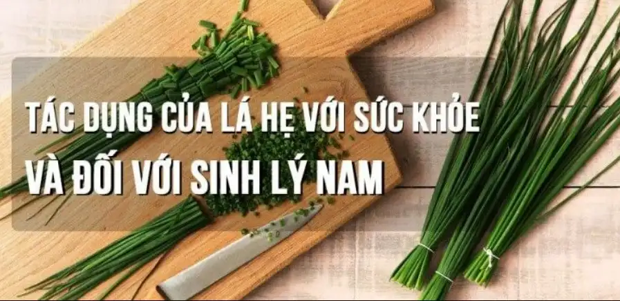 Lá hẹ chữa yếu sinh lý