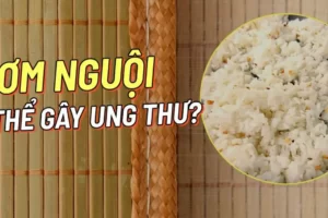 Thật hư chuyện “Ăn cơm nguội trong tủ lạnh gây ung thư”