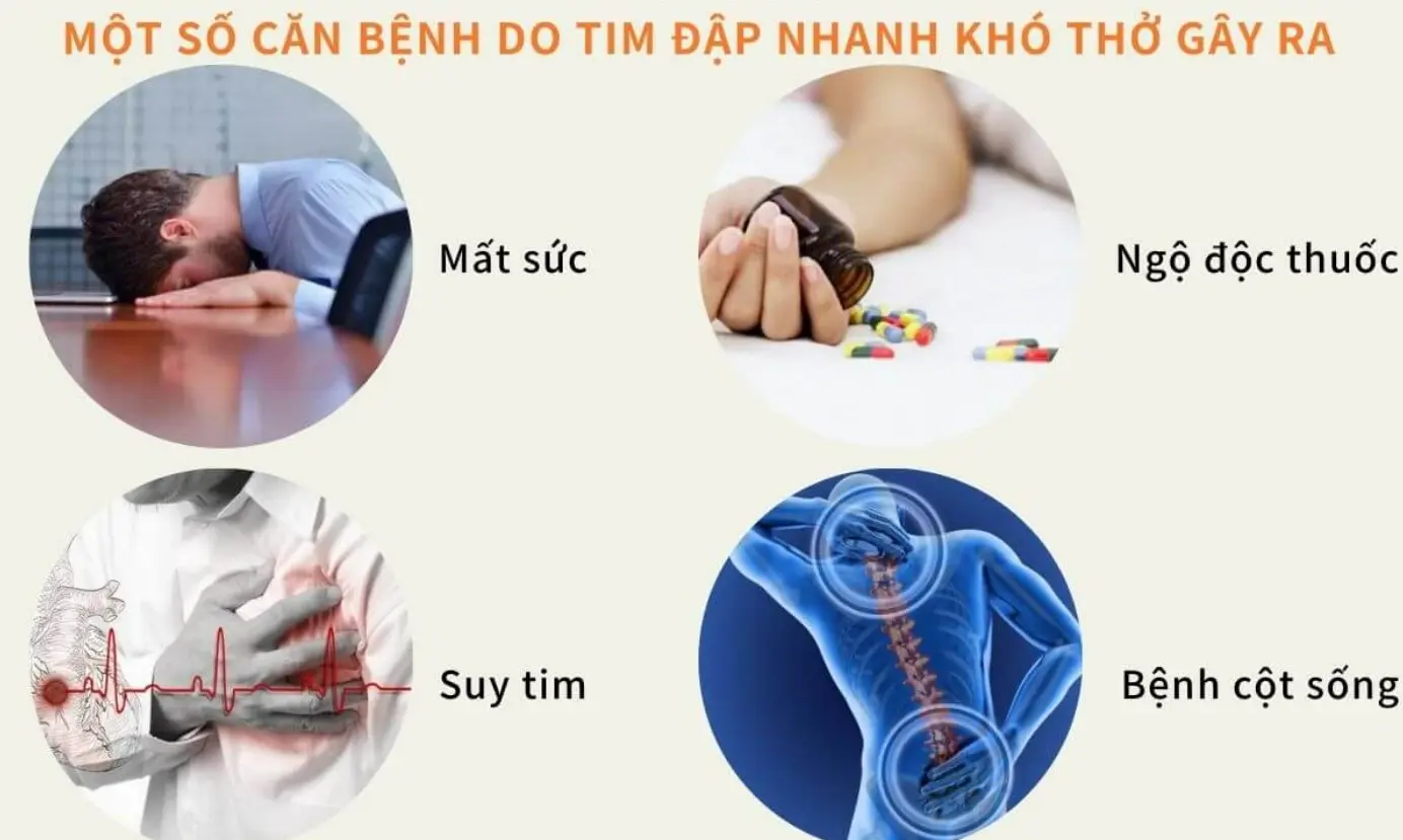 Một số bệnh do bệnh tim mạch đập nhanh gây ra
