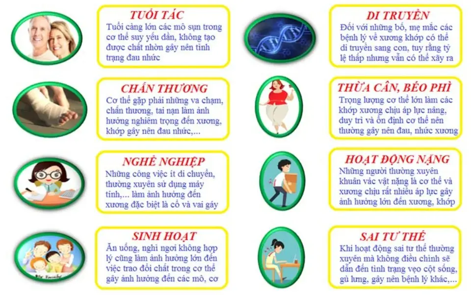 Nguyên nhân gây bệnh xương khớp