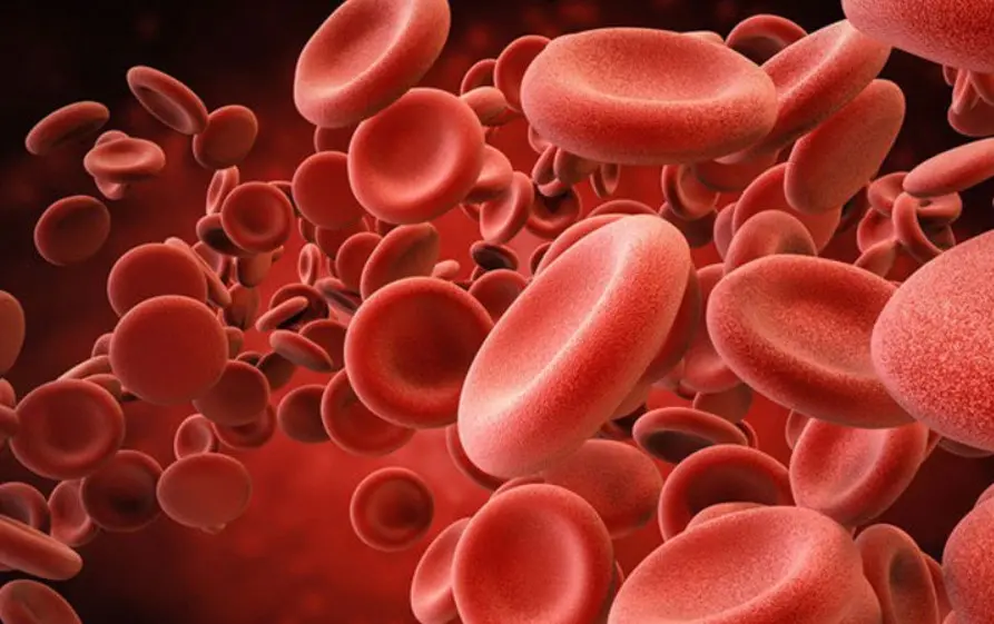 Thuốc chống kết tập tiểu cầu