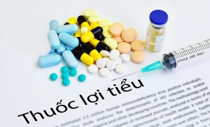 Thuốc điều trị tim mạch Thuốc lợi tiểu