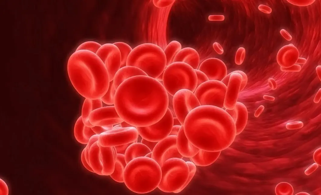 Thuốc giúp chống đông máu (thuốc làm loãng máu)