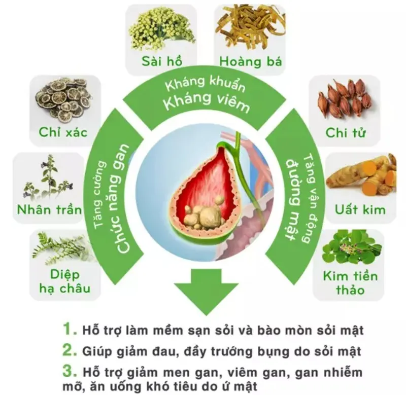 Bài thuốc 8 thảo dược quý đã có nghiên cứu