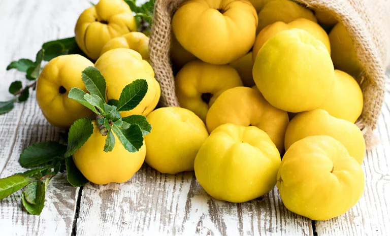 Bài thuốc với quả mộc qua