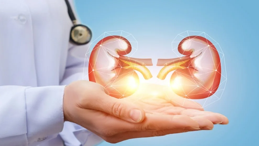 Bồ công anh - vị thuốc trong các bài thuốc lợi tiểu