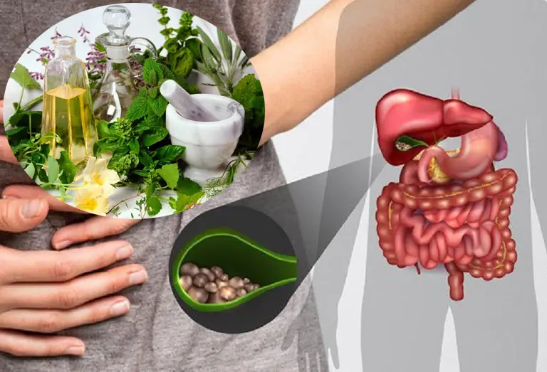 Các bài thuốc chữa sỏi mật khác được lưu truyền