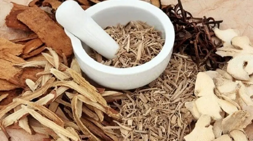 Cây Thuốc Nam Chữa Bệnh Phù Chân