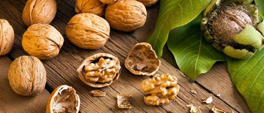 Chữa hen suyễn ở người cao tuổi