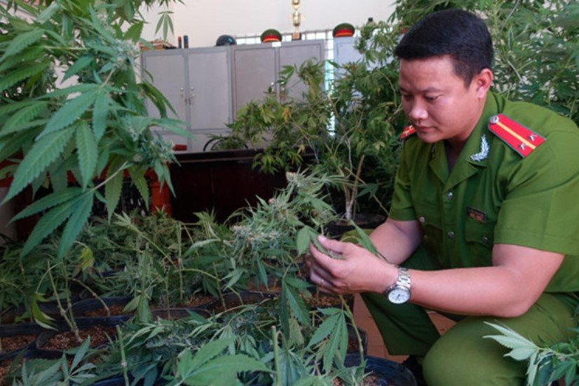 Dấu hiệu chủ thể của tội phạm