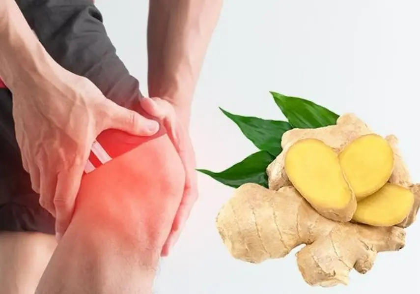 Gừng giúp giảm triệu chứng đau nhức