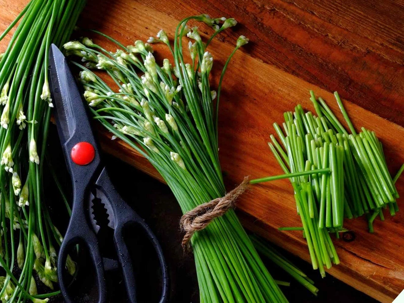 Lá hẹ có tác dụng chữa bệnh trĩ