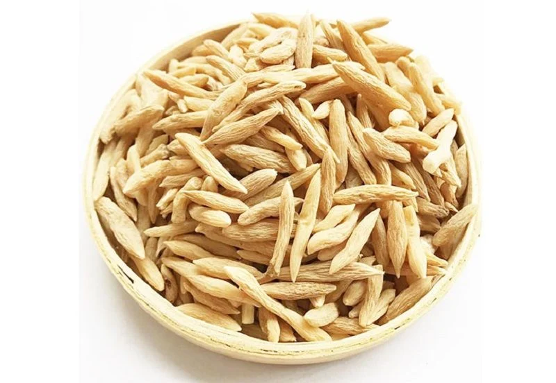 Mạch môn – Chống chống viêm, đông máu 