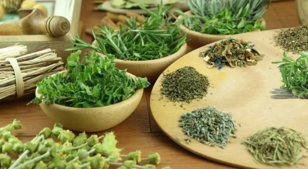 Nhóm cây thuốc chữa các bệnh về xương khớp bao gồm