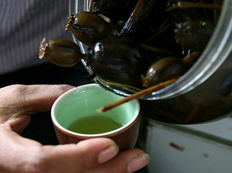 cách ngâm rượu cây thuốc phiện