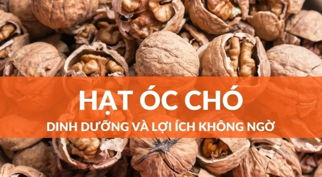 Hạt óc chó có tác dụng rất tốt cho sức khỏe