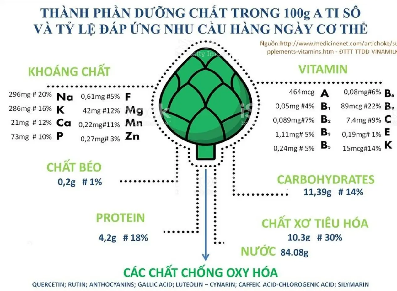 Tác dụng dược lý và công dụng Hoa Atiso