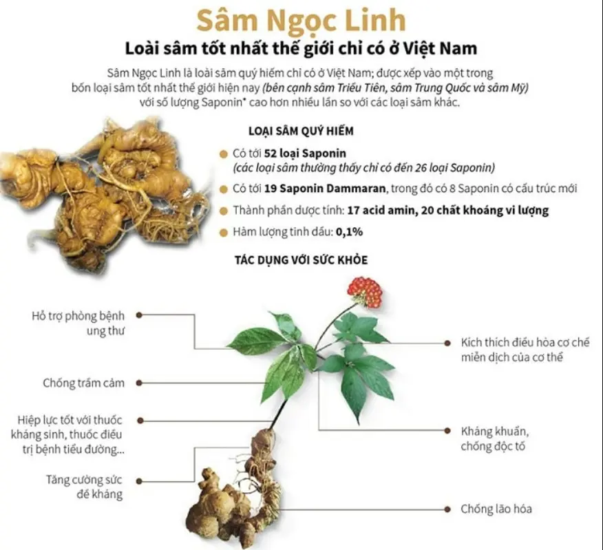 Tác dụng dược lý và công dụng