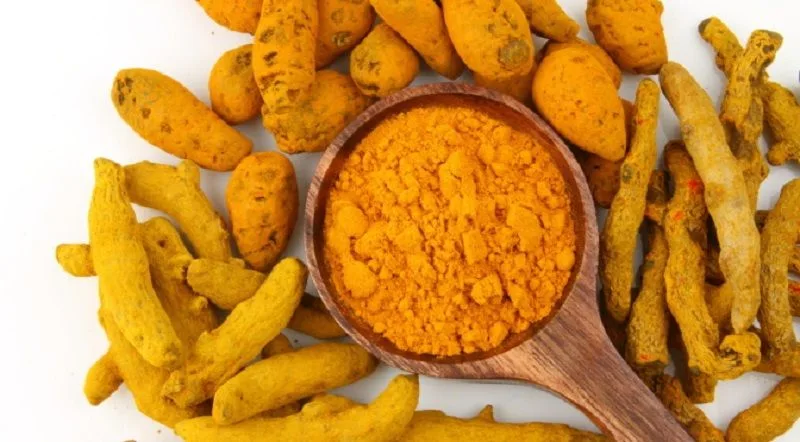 Uất kim tăng vận động đường mật, giúp lợi mật