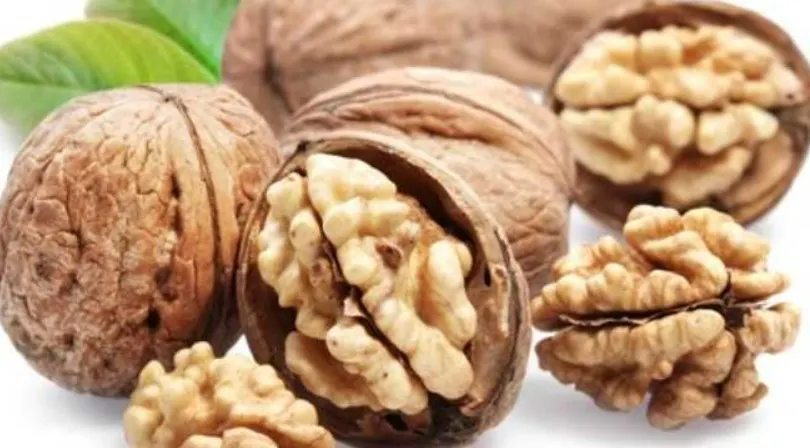 quả óc chó chữa khí hư