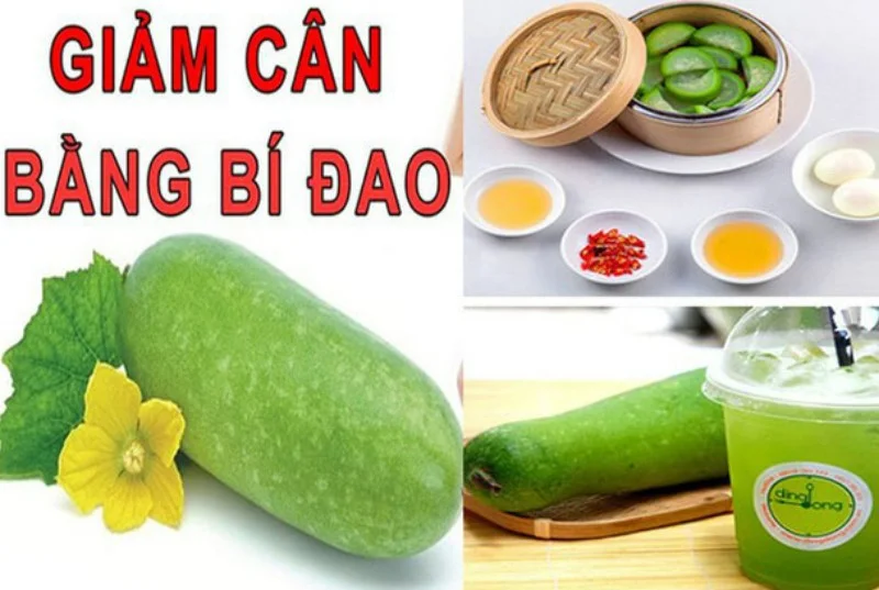 Bí xanh và bí đao