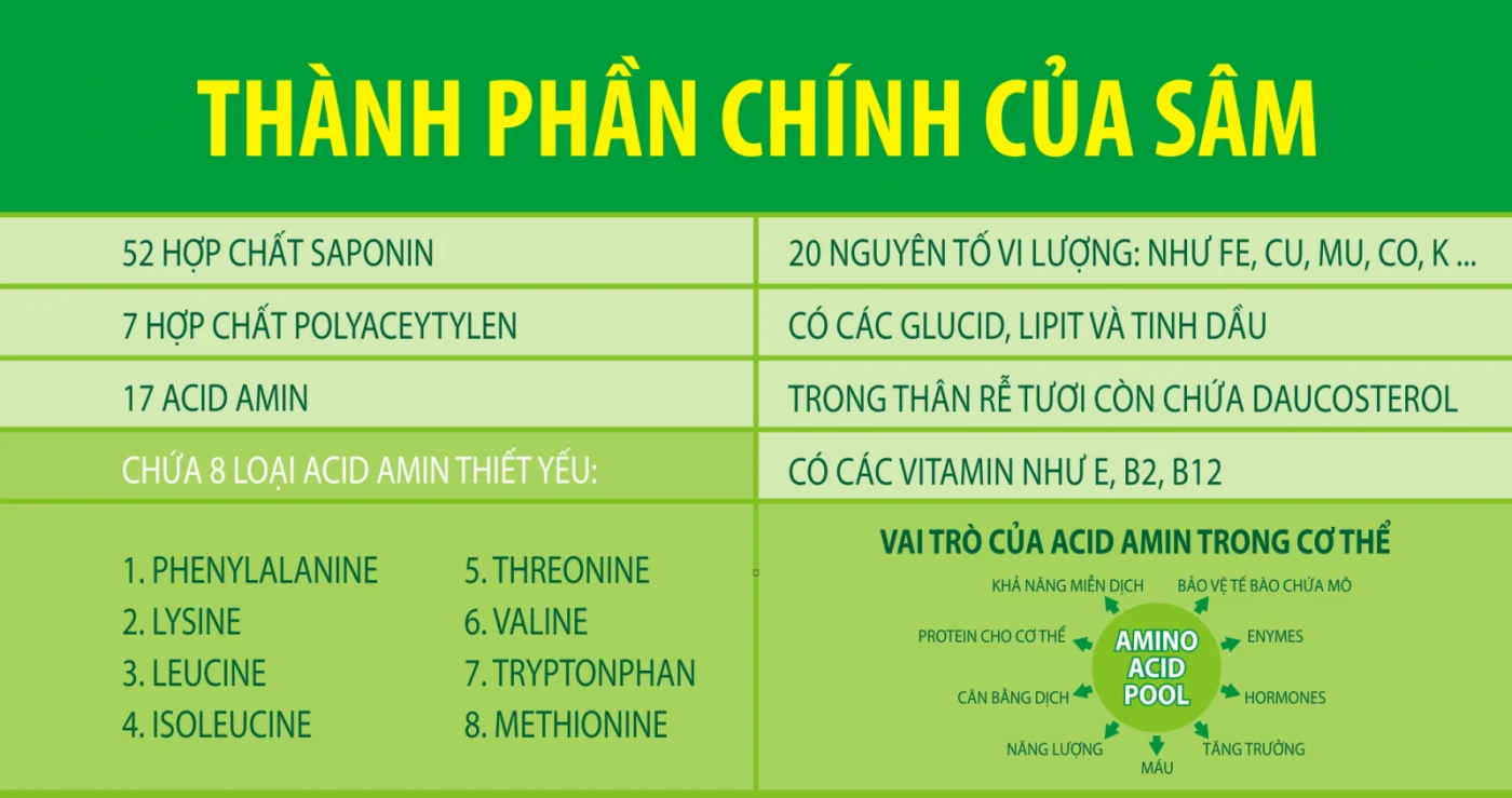 Các thành phần có trong lá sâm ngọc linh