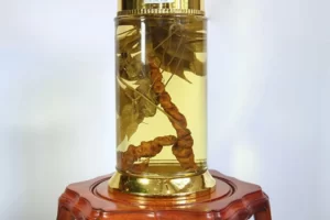 Rượu sâm ngọc linh giá bao nhiêu? Địa chỉ bán rượu uy tín