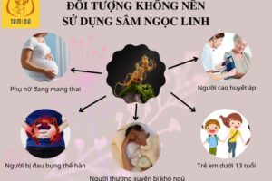 Những người không nên dụng sâm ngọc linh là những người nào?