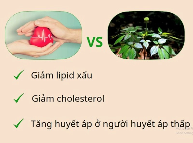 Hỗ trợ làm đẹp da