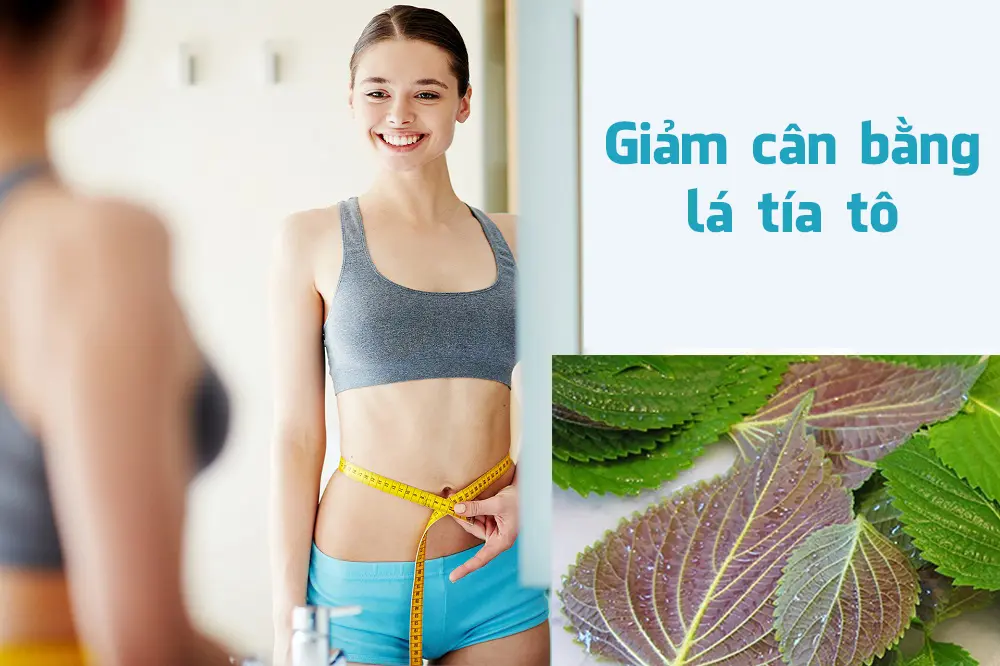 Lá tía tô đánh tan mỡ thừa