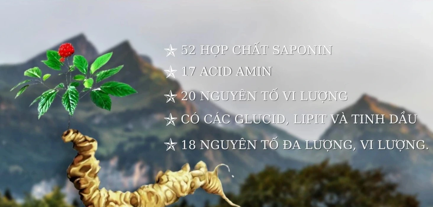 Lý do sâm ngọc linh tốt hơn sâm Hàn Quốc,..
