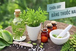 TOP 13+ Cây thuốc nam chữa bệnh gút nhanh nhất tại nhà