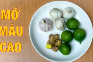 TOP những bài thuốc, cây thuốc nam chữa bệnh máu nhiễm mỡ